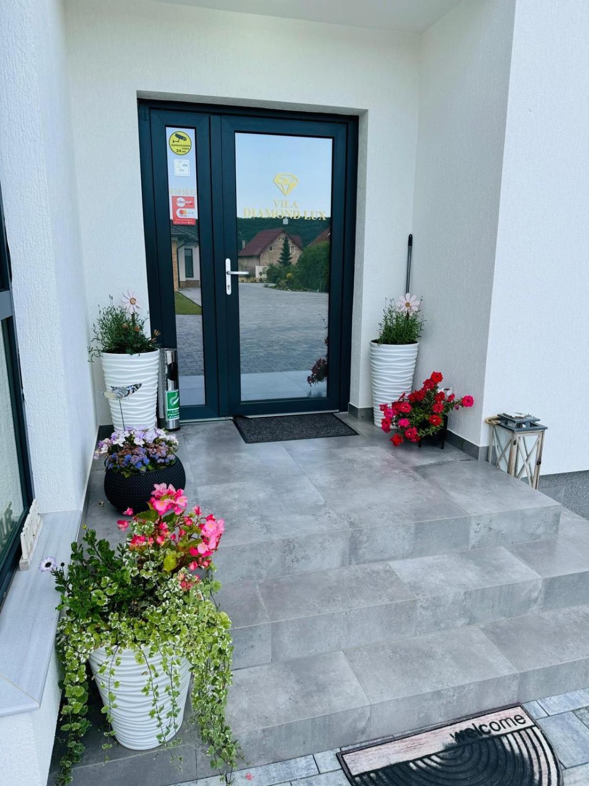 Vila Diamond Lux&Spa Sovata Exterior photo