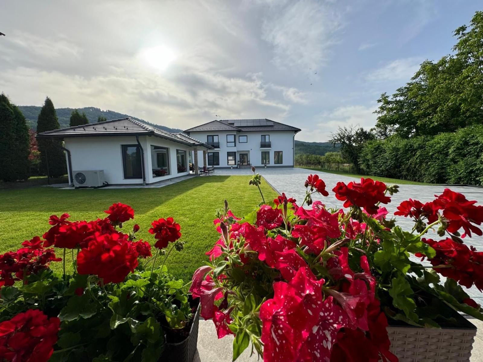 Vila Diamond Lux&Spa Sovata Exterior photo
