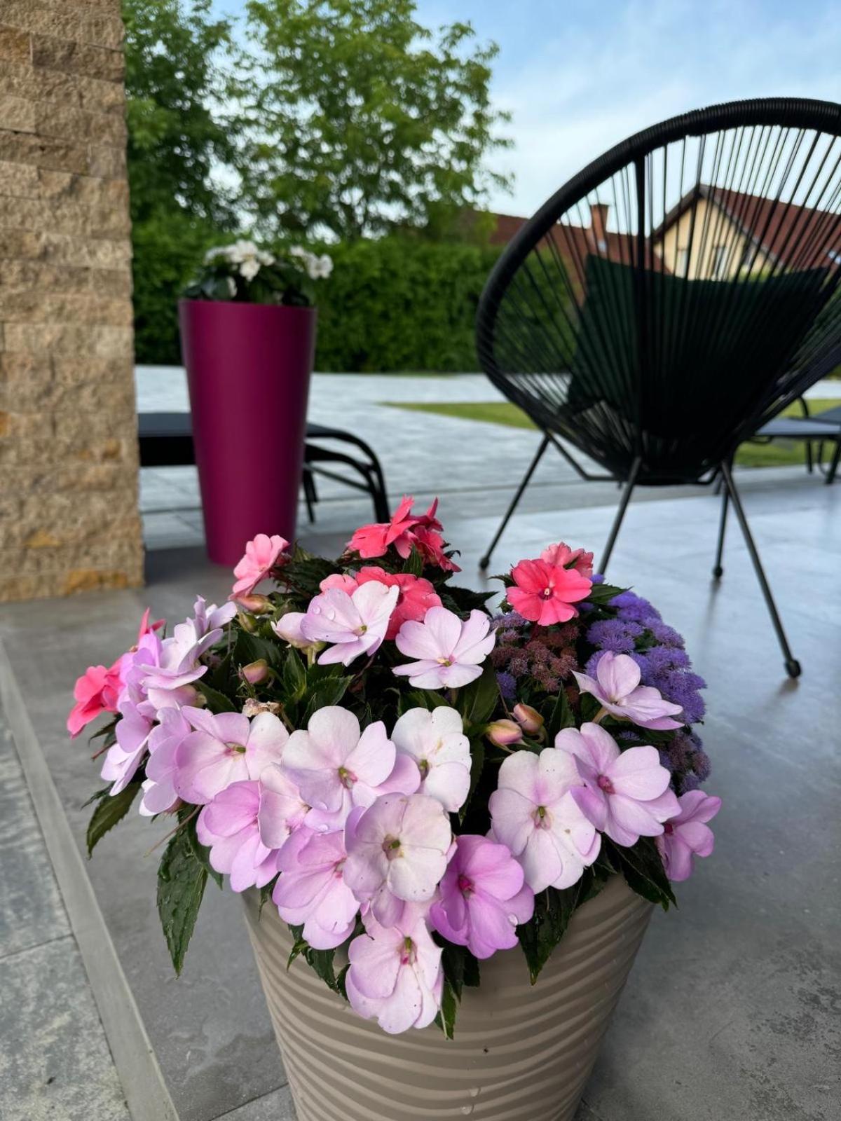 Vila Diamond Lux&Spa Sovata Exterior photo